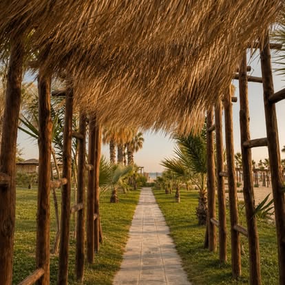 Thatched pergola walkway to the sea at COCO